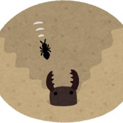 社会に殺される蟻